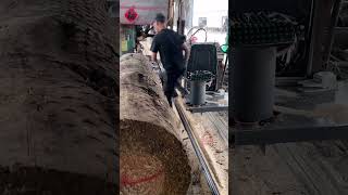 Wood Sawing Process [upl. by Erdnaet]