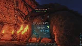 How to get a Wyvern in Ark Guide  Steal Egg Get Milk Raise Babys Abilities [upl. by Treboh237]