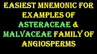 Mnemonic to Remember Examples of Asteraceae amp Malvaceae family of Angiosperm [upl. by Je]