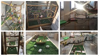 Building The Most Beautiful Aviary Budgie Kingdom [upl. by Atinuahs]