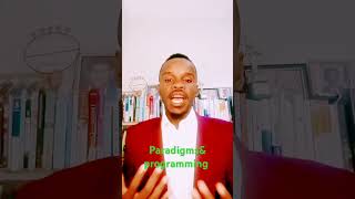 paradigms amp programming mindset youtube love [upl. by Traweek674]