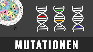 Mutationsarten  Genmutation Genommutation Chromosomenmutation  Biologie kurz erklärt [upl. by Emarej]