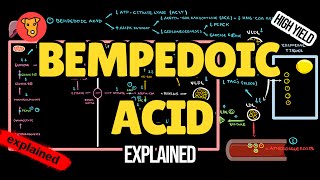 BEMPEDOIC ACID Mechanism of action Pharmacology of Lipid lowering drugs [upl. by Jone207]