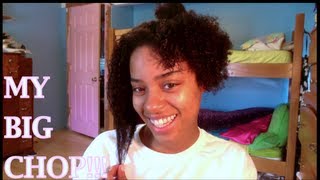 My Natural Hair Journey Big Chop [upl. by Attennaj448]