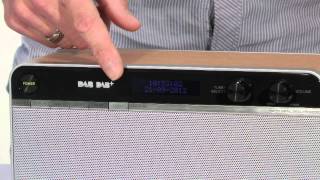 Sony Radio XDR S16DBP review [upl. by Brodench]