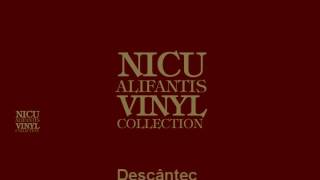 Nicu Alifantis  Descantec [upl. by Einnel]