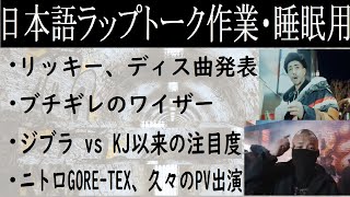 RYKEYDADDYDIRTY、舐達麻バダサイにディス曲発表・ワイザーのアンサー・フリースタイル日本統一感想・KOHHが千葉雄喜で活動【HIPHOPトーク作業・睡眠用】 [upl. by Maren]