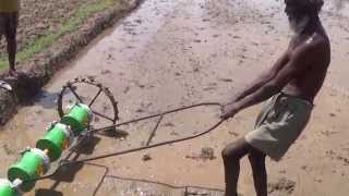 Traditional Direct Paddy Sowing  Trichy [upl. by Lisab]