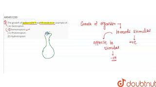 The growth of pollen tube towards ovule is an example of   A Geotropism B Chemotropism  C P [upl. by Ariamoy]