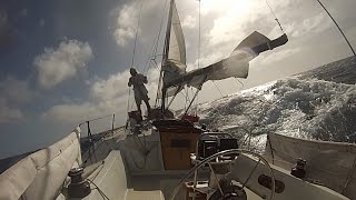 quotAlone Togetherquot Singlehanded Sailing LA to Hawaii and Return [upl. by Artus]