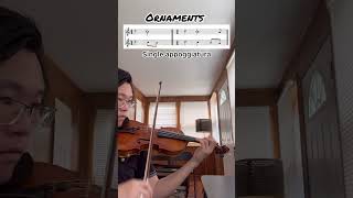 Ornaments Single Appoggiatura violin violinmusic music violinist classicalmusic violinst [upl. by Hughett871]