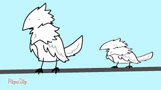 two birds on a wire meme [upl. by Cicely]