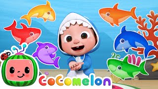 Baby Shark Learns Colors  CoComelon Nursery Rhymes amp Kids Songs [upl. by Negem]