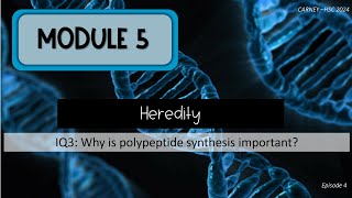 Module 5 Episode 4 Polypeptide Synthesis and Proteins [upl. by Oinotnaesoj969]