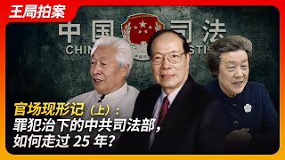 官场现形记：罪犯治下的中共司法部，如何走过25年？（上）｜严打｜官场｜买官｜贿赂｜落马｜司法考试｜王局拍案20241030 [upl. by Lamb66]