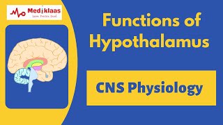 Functions of Hypothalamus  Nerurology  Physiology  Mediklaas [upl. by Lim]