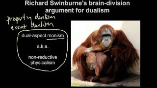 17c Descartes and Swinburne I am a soul  Richard Swinburnes brain division argument for dualism [upl. by Amitie]