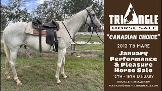 Triangle January Sale “Canadian Choice” [upl. by Seyah]