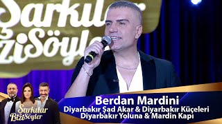 Berdan Mardini  Diyarbakır Şad Akar amp Diyarbakır Küçeleri amp Diyarbakır Yoluna amp Mardin Kapı [upl. by Lion84]