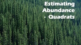 Estimating Abundance  Random Quadrats [upl. by Osanna706]