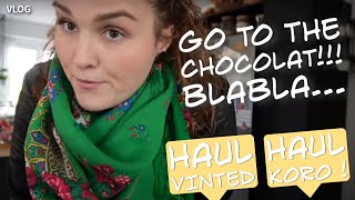 VLOG  On va chercher la grosse commande de Chocolat  Blabla  HAUL Vinted  HAUL ZEEMAN [upl. by Akiv]