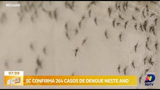 Santa Catarina registra 264 casos de dengue no primeiro relatório de 2024 [upl. by Dowdell]