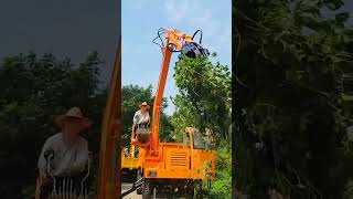 Hydraulic rotary wood grabber Grab moso bamboograb sugar canegrab wood Si unlike vehiclemounted [upl. by Jodee]