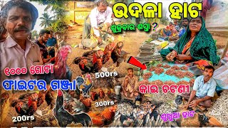 ଉଦଳା କୁକୁଡ଼ା Hata 😱 Rate ❓ ଆଦିବାସୀ Market Udala  Kukuda Hata In Odisha  Mayurbhanj Tribal [upl. by Salohcin]