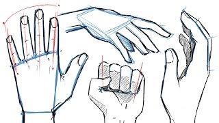 How to Draw HANDS and HAND POSES [upl. by Kareem]