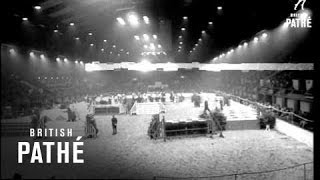 The Horse Of The Year Show  Wembley 1967 [upl. by Malinowski]