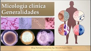 2 Clase MICOSIS Generalidades 2021 [upl. by Ilke824]