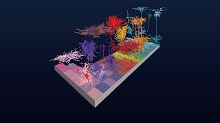 Cell Type Taxonomies A to Z What is a Taxonomy [upl. by Hsirk]