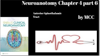 Neuroanatomy Chapter 4 part 6Anterior Spinothalamic TractCrude touch pathwayspinal lemniscus [upl. by Rhiamon]