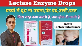 Enzymes  Commercial Uses  Post 16 Biology A Level PreU IB AP Bio [upl. by Endaira]