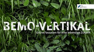 Grüne Fassaden für Architektur die atmet BEMOVERTIKAL Fassadenbegrünung [upl. by Westley]