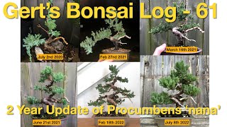 Bonsai Log  61  2 Year Update of Procumbens Nana Juniper [upl. by Aneloj]