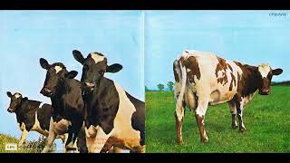 Pink Floyd  Atom Heart Mother 1970 [upl. by Marfe]