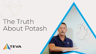 The Truth About Potash [upl. by Ibib]