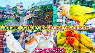 Uluberia pet market  Birds pirce updated 14092024 Uluberia pakhir haat cheapest sale viral [upl. by Ajaj556]