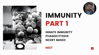 Immunity Part 1 basics  types of immunity innate immunity in detail neet ug [upl. by Hazem727]