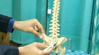 Ankylosing Spondylitis Part 1  Symptoms and Diagnosis [upl. by Nosirrah]