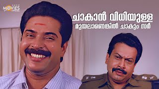 ചാകാൻ വിധിയുള്ള മുയലാണെങ്കിൽ ചാകും സർ  Jagratha  CBI Diary  Parvathy Jayaram  Mammotty  Jagathy [upl. by Malaspina]