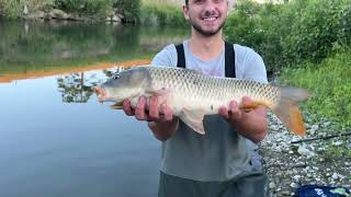 Carpa a galleggiante in Bisenzio 🎣 [upl. by Thgirw936]