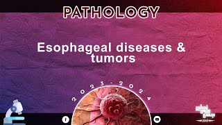 L2 Esophageal diseases and tumors Pathology [upl. by Seagrave]