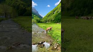 📍Murren Village Switzerland 🇨🇭 😲 shorts youtube youtubeshorts [upl. by Rocco]