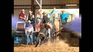 Bull Wagon Train by Tony Justice [upl. by Allets734]