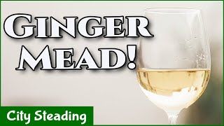 Homemade Honey Mead Ginger Mead Ginger Metheglin Easy Recipe [upl. by Banquer785]