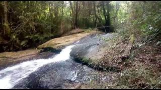 Sitio á venda de 62 Hectares em BaependiMG [upl. by Leia318]