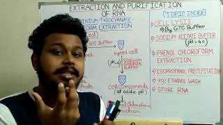 RNA Extraction and Purification Acid Guanidinium Thiocyanate Phenol Chloroform TRIzol extraction [upl. by Adler]