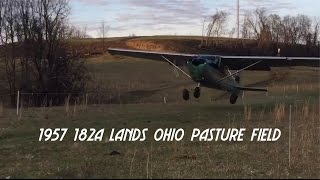 Cessna 182A Landing in a Cow Pasture [upl. by Irtimed]